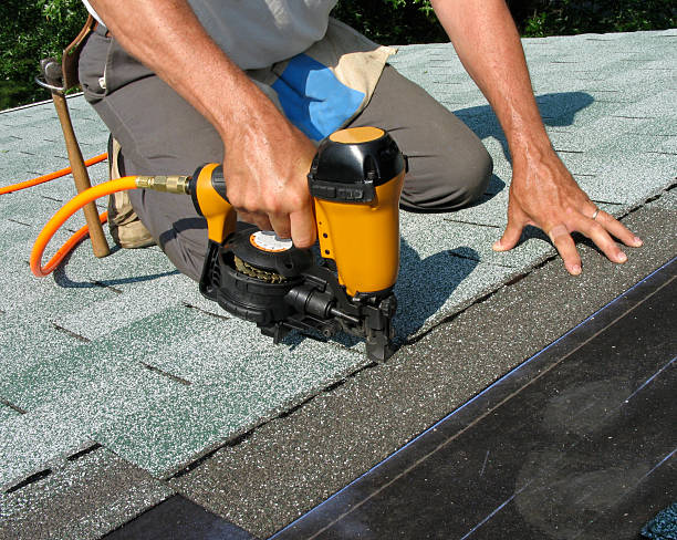 Best Local Roofing Companies  in Wyandotte, MI