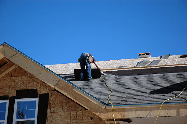 Best Metal Roofing Contractor  in Wyandotte, MI
