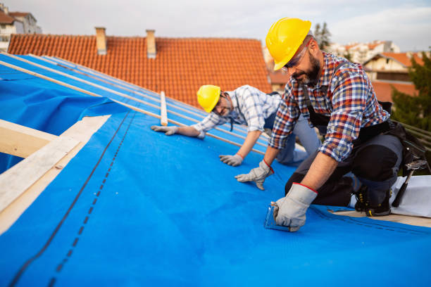 Best Affordable Roofing Company  in Wyandotte, MI