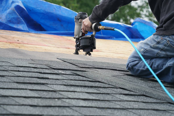 Best Shingle Roofing Installation  in Wyandotte, MI
