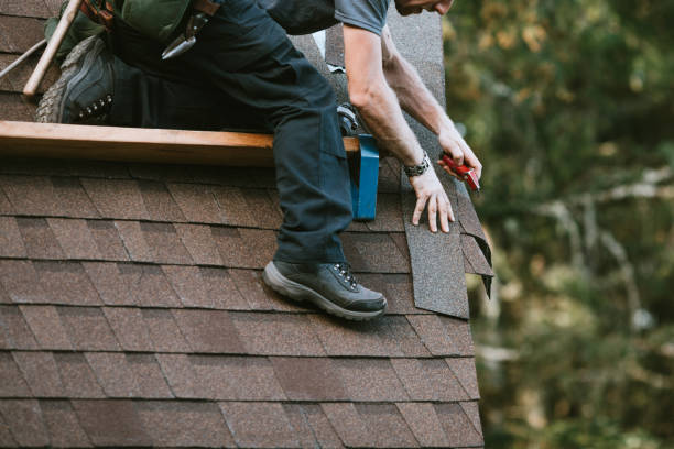 Professional Roofing Contractor in Wyandotte, MI